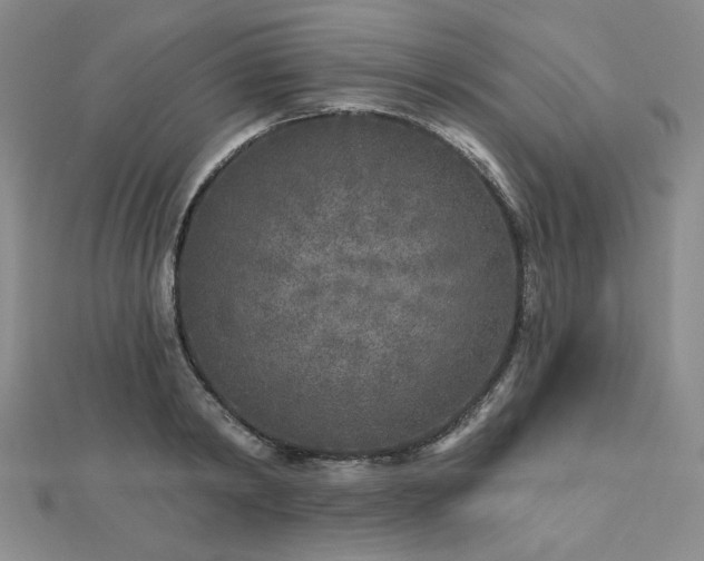 X0000113020798200908271432