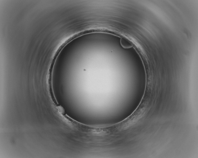 X0000113020799200908271432