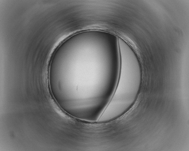 X0000113020800200908271432