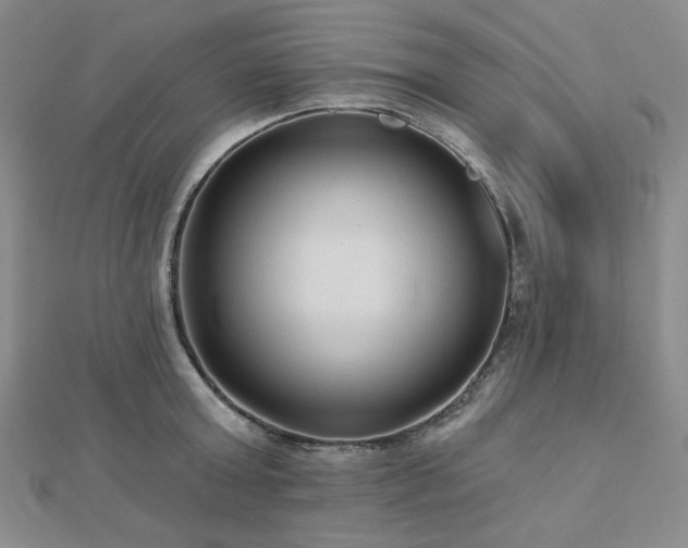 X0000113020803200908271432