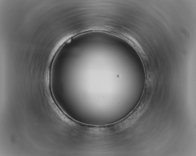 X0000113020804200908271432
