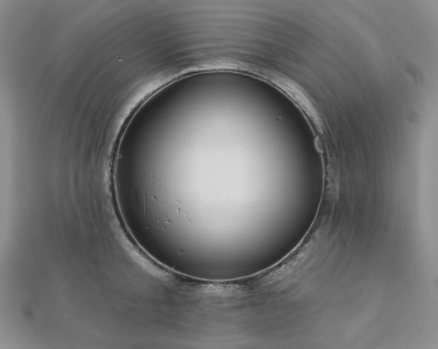 X0000113020805200908271432
