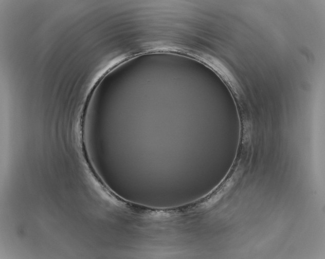 X0000113020806200908271432