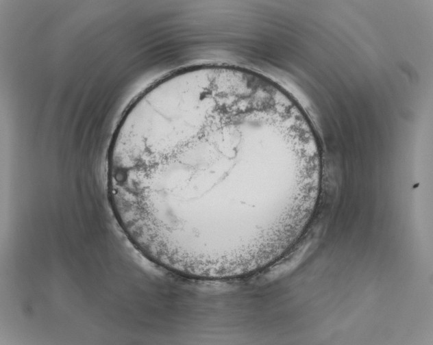 X0000113020807200908271432