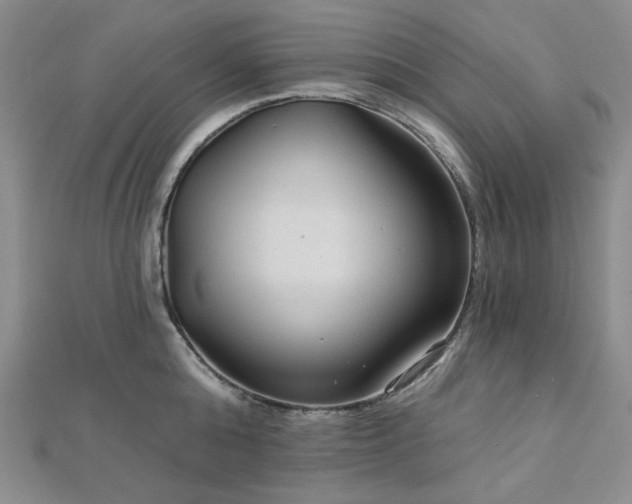 X0000113020808200908271432