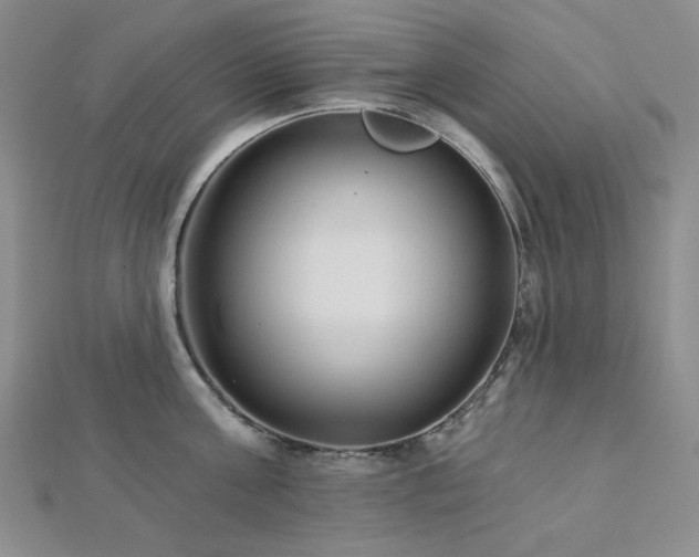 X0000113020811200908271432