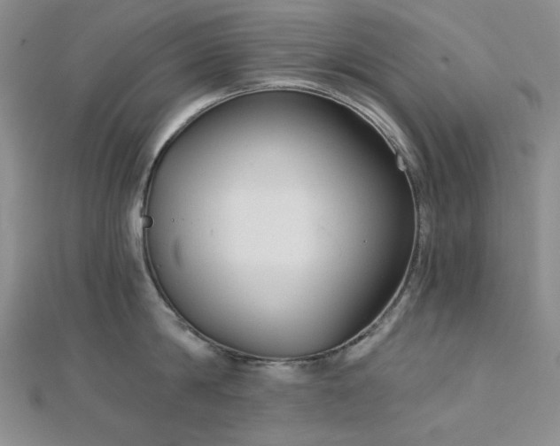 X0000113020814200908271432