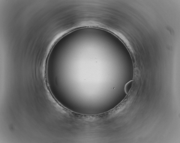 X0000113020815200908271432