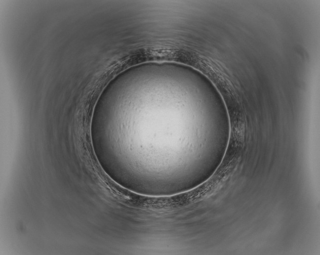 X0000113020817200908271431