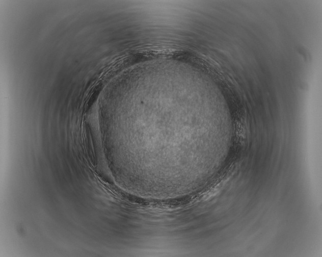 X0000113020818200908271431