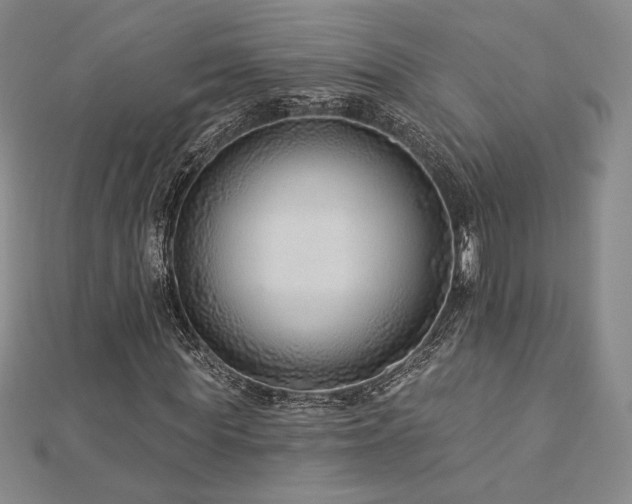 X0000113020819200908271431