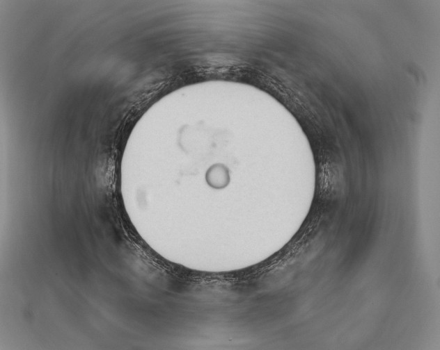 X0000113020820200908271431