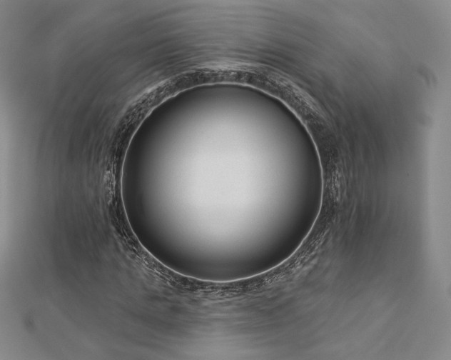 X0000113020821200908271431