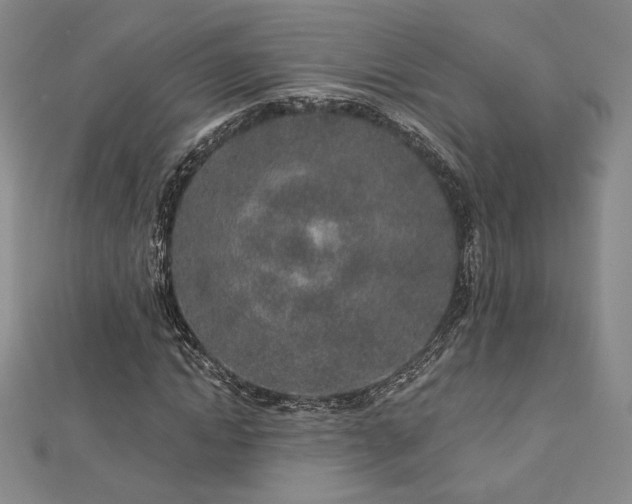 X0000113020822200908271431