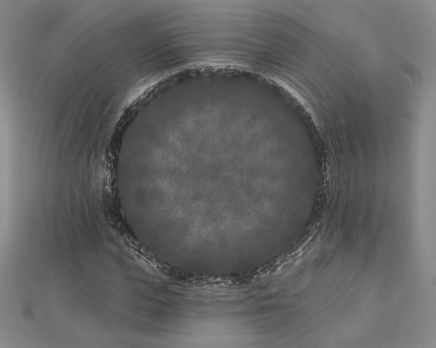 X0000113020823200908271431