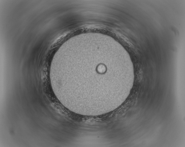 X0000113020824200908271431