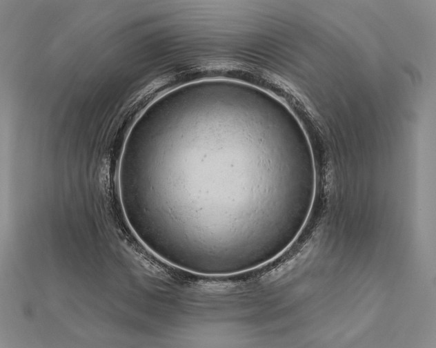 X0000113020825200908271431