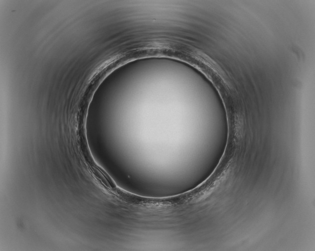 X0000113020826200908271431