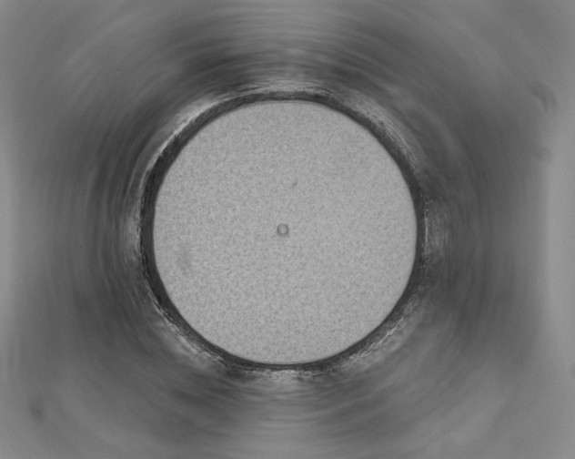 X0000113020828200908271431