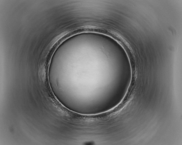X0000113020829200908271431