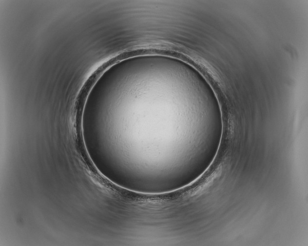 X0000113020830200908271431