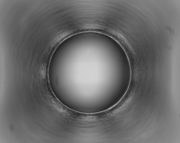 X0000113020833200908271432