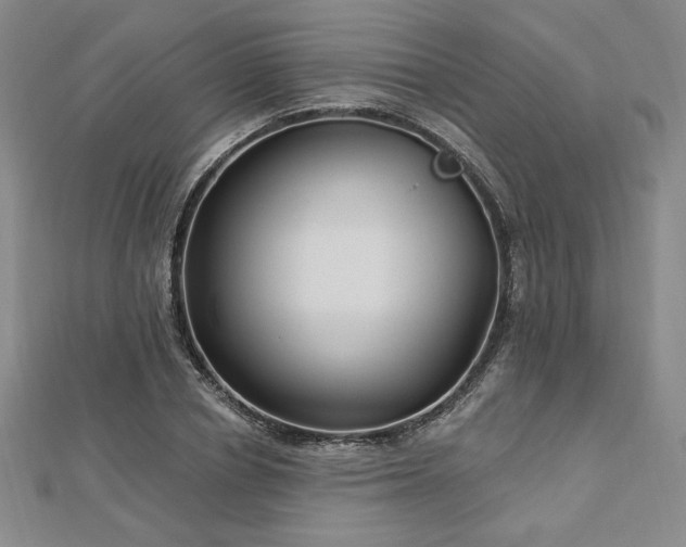 X0000113020834200908271432