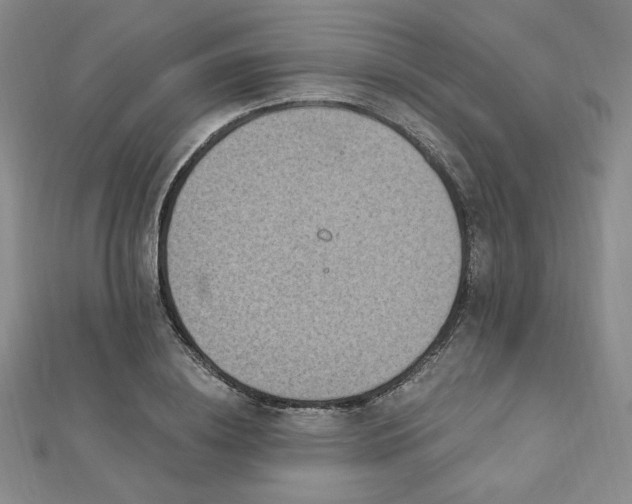 X0000113020836200908271432