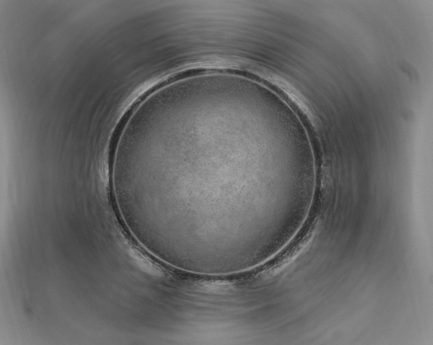 X0000113020837200908271432