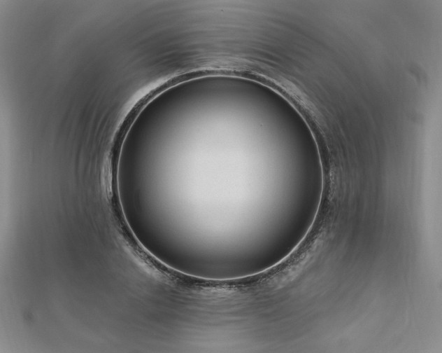 X0000113020838200908271432