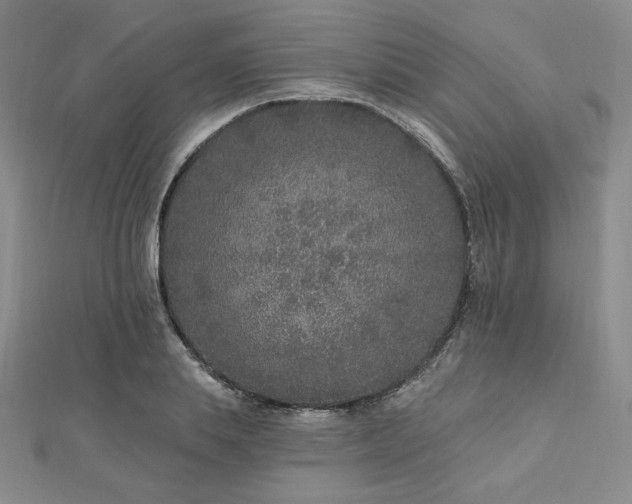X0000113020839200908271432