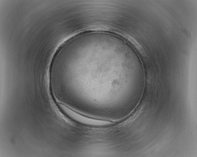 X0000113020840200908271432