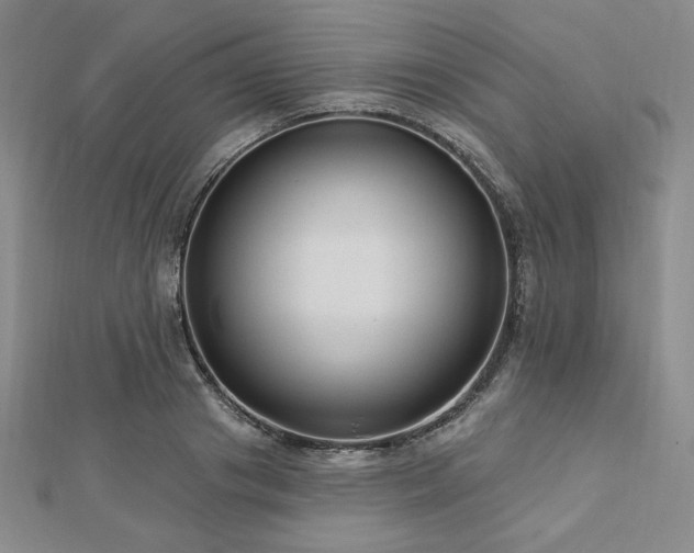 X0000113020841200908271432
