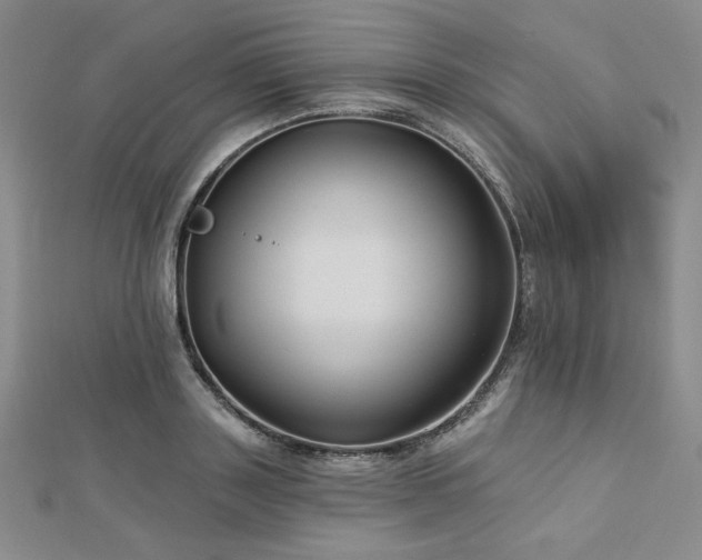 X0000113020843200908271432