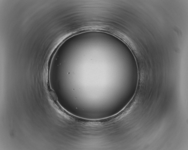 X0000113020844200908271432