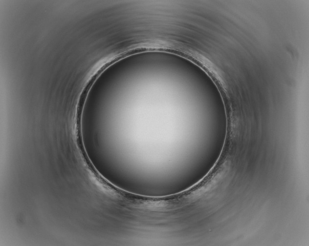 X0000113020845200908271432