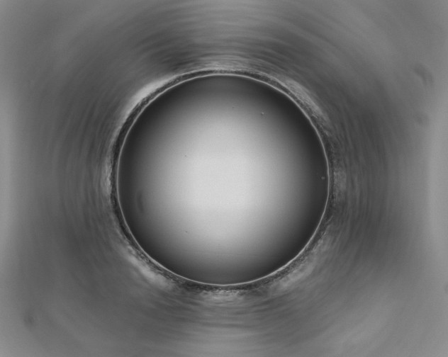 X0000113020846200908271432