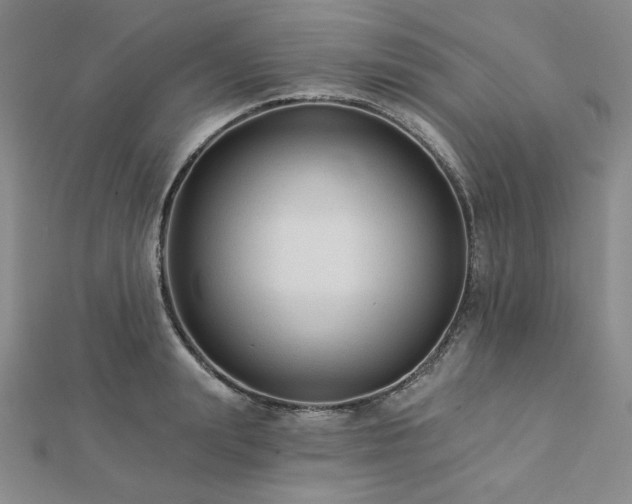 X0000113020847200908271432