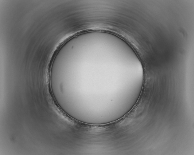 X0000113020848200908271432