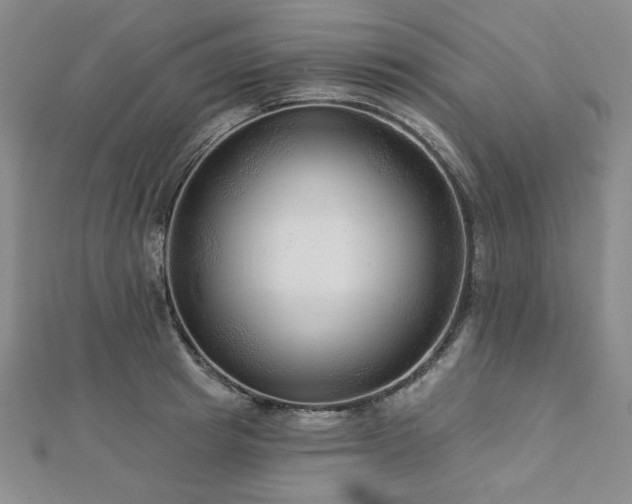 X0000113020849200908271432