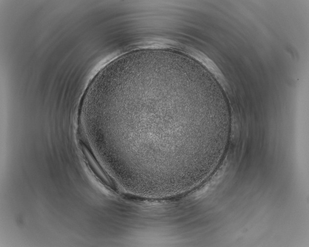 X0000113020850200908271432