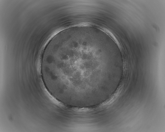 X0000113020851200908271432