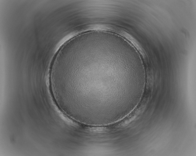 X0000113020853200908271432
