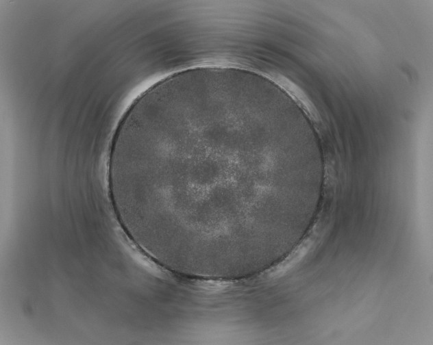 X0000113020854200908271432