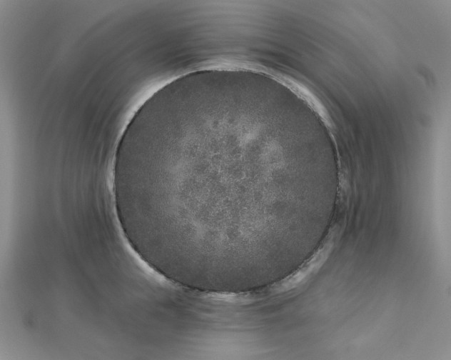 X0000113020855200908271432