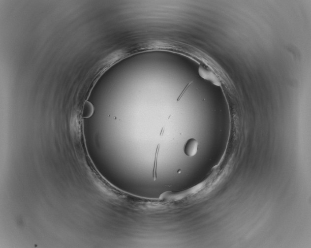 X0000113020857200908271432