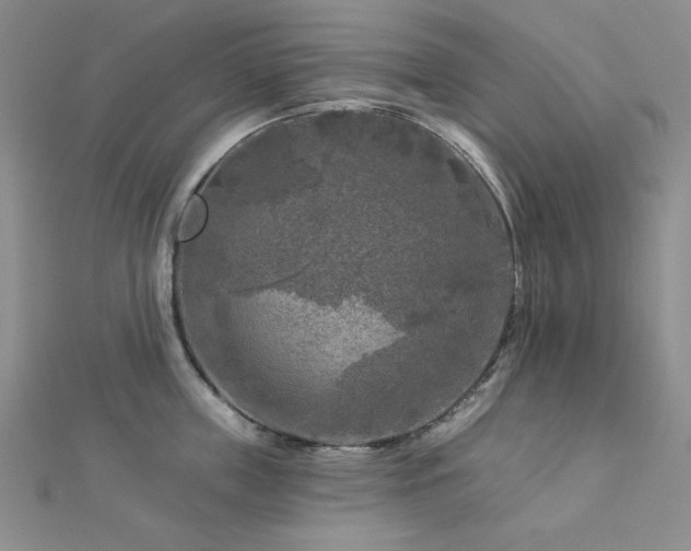 X0000113020859200908271432