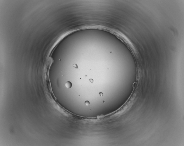 X0000113020860200908271432