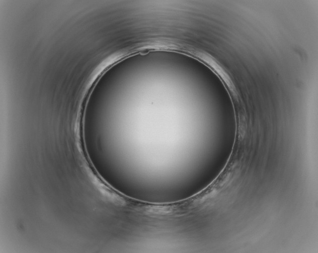 X0000113020861200908271432