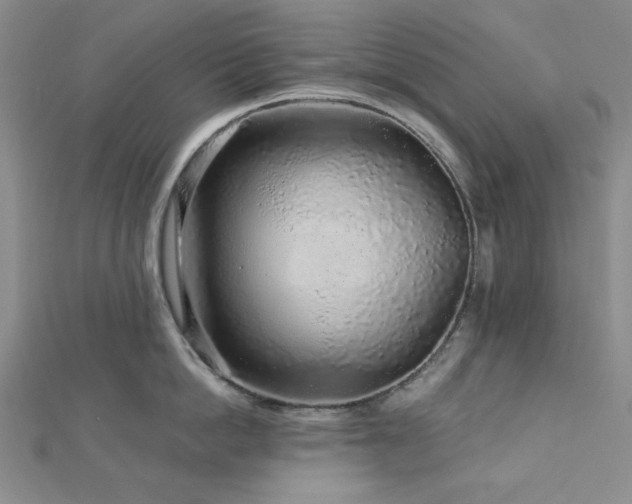X0000113020862200908271432
